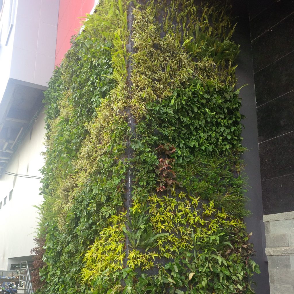 Vertical Garden