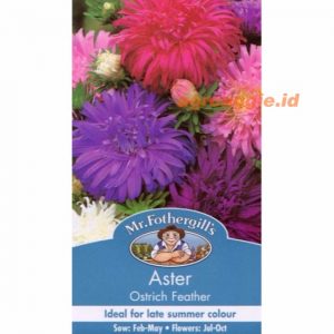 Mr. F ASTER Ostrich Feather