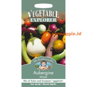Mr. F AUBERGINE Mixed