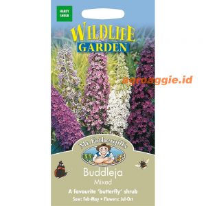 Mr. F BUDDLEJA Mixed