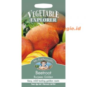 Mr. F BEETROOT Burpees Golden