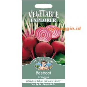 Mr. F BEETROOT Chioggia