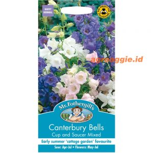 Mr. F CANTERBURY BELLS Cup & Saucer Mixed