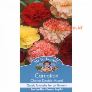 Mr. F CARNATION Choice Double Mixed