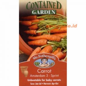 Mr. F CARROT Amsterdam 3 (Sprint)