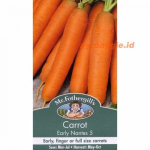 Mr. F CARROT Nantes 5