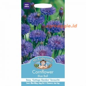 Mr. F Bunga CORNFLOWER Blue Ball