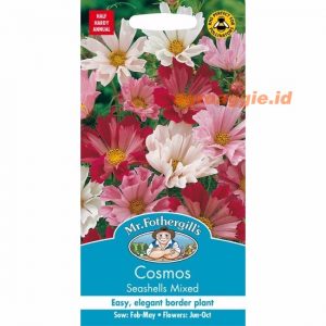 Mr. F COSMOS Seashells Mixed