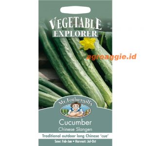 Mr. F CUCUMBER Chinese Slangen