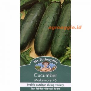 Mr. F CUCUMBER Marketmore 76