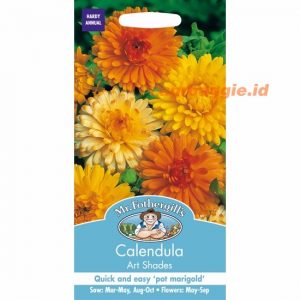Mr. F CALENDULA Art Shades