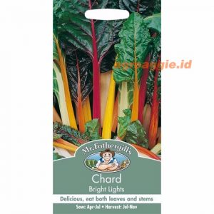 Mr. F CHARD Bright Lights