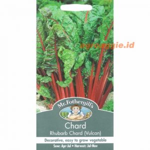 Mr. F CHARD Rhubarb Chard (Vulcan)