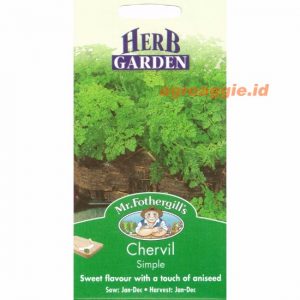 Mr. F CHERVIL Simple