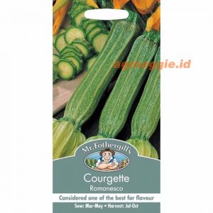 Mr. F COURGETTE Romanesco