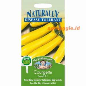 Mr. F COURGETTE Soleil F1