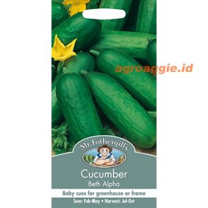 Mr. F CUCUMBER Beth Alpha F1