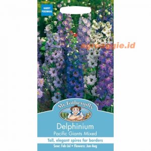 Mr. F DELPHINIUM Pacific Giants Mixed
