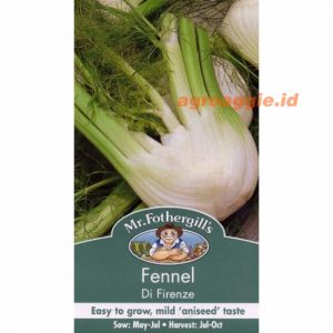 Mr. F FENNEL Di Firenze