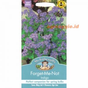 Mr. F FORGET ME NOT Indigo