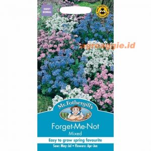 Mr. F FORGET ME NOT Mixed