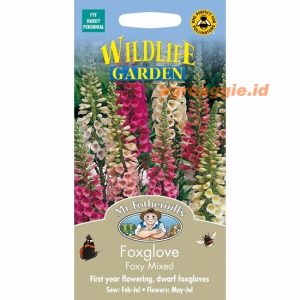 Mr. F FOXGLOVE Foxy Mixed