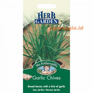 Mr. F GARLIC CHIVES