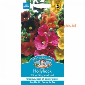 Mr. F HOLLYHOCK Giant Single Mixed