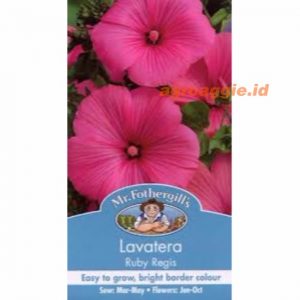 Mr. F LAVATERA Ruby Regis