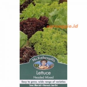 Mr. F LETTUCE Headed Mixed