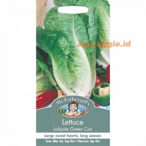 Mr. F LETTUCE Lobjoits Green Cos
