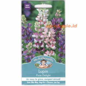 Mr. F LUPIN Pixie Delight