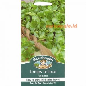 Mr. F LAMBS LETTUCE Valentin