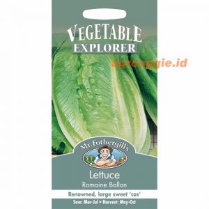 Mr. F LETTUCE Romaine Ballon