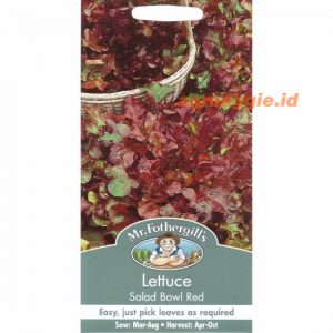 Mr. F LETTUCE Salad Bowl Red