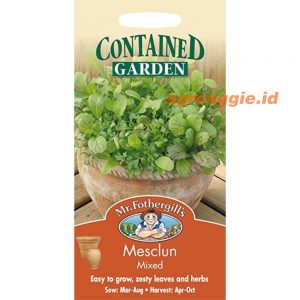 Mr. F MIXED MESCLUN