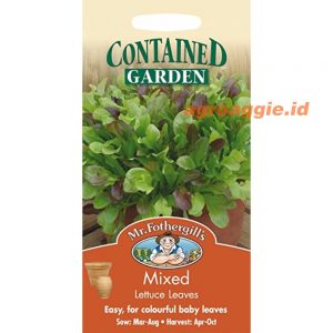 Mr. F MIXED LETTUCE Leaves