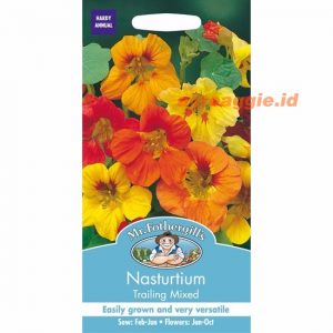 Mr. F NASTURTIUM Trailing Mixed