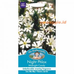 Mr. F NIGHT PHLOX Midnight Candy
