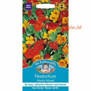Mr. F NASTURTIUM Alaska Mixed