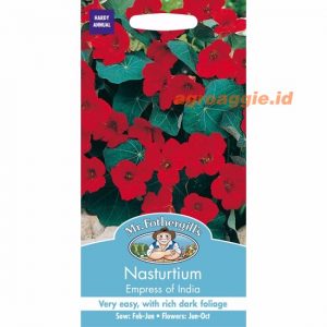 Mr. F NASTURTIUM Empress Of India