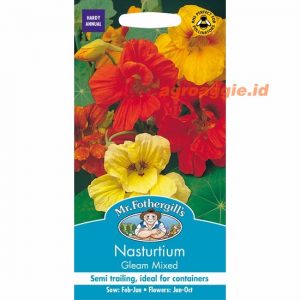 Mr. F NASTURTIUM Gleam Mixed