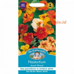 Mr. F NASTURTIUM Jewel Mixed