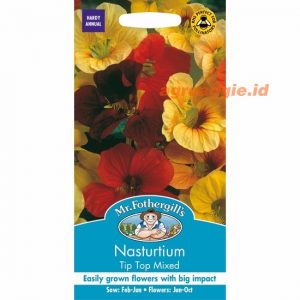 Mr. F NASTURTIUM Tip Top Mixed