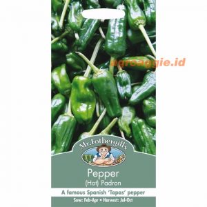 Mr. F PEPPER (Hot) Padron