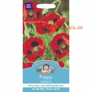 Mr. F POPPY Ladybird