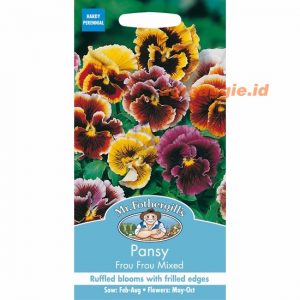 Mr. F PANSY Frou Frou Mixed