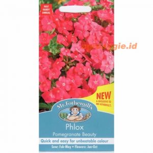 Mr. F PHLOX Pomegranate Beauty