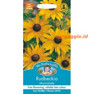 Mr. F RUDBECKIA Marmalade