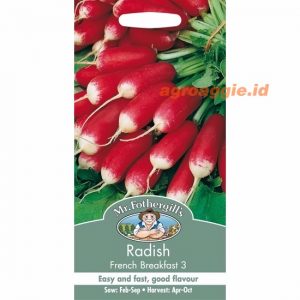 Mr. F RADISH French Breakfast 3